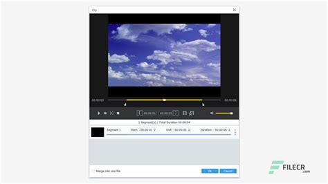 Download AnyMP4 Video Editor