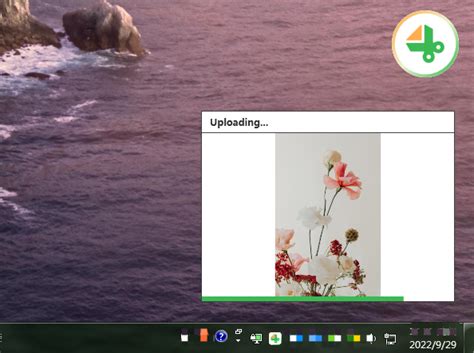Download Gemoo Snap for