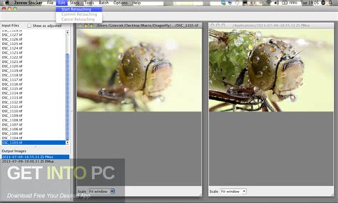 Zerene Stacker Professional 1.04.T202105281930